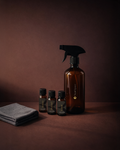 Signature Cleaning Kit
