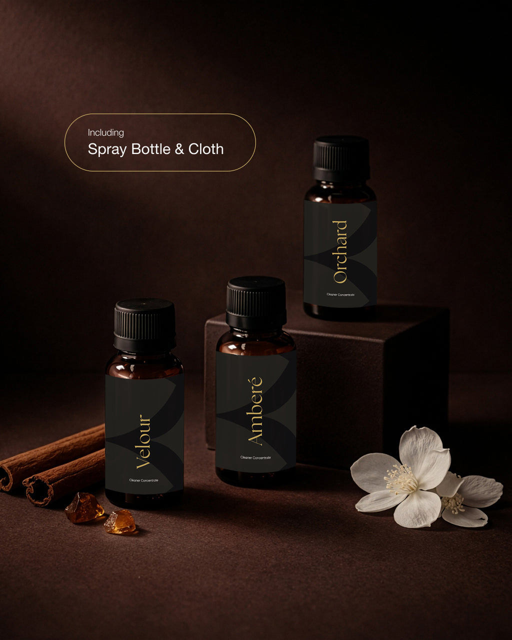 Signature Cleaning Kit